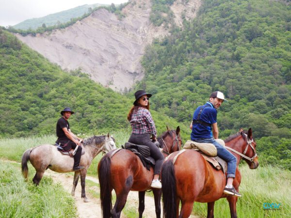 horse riding tours