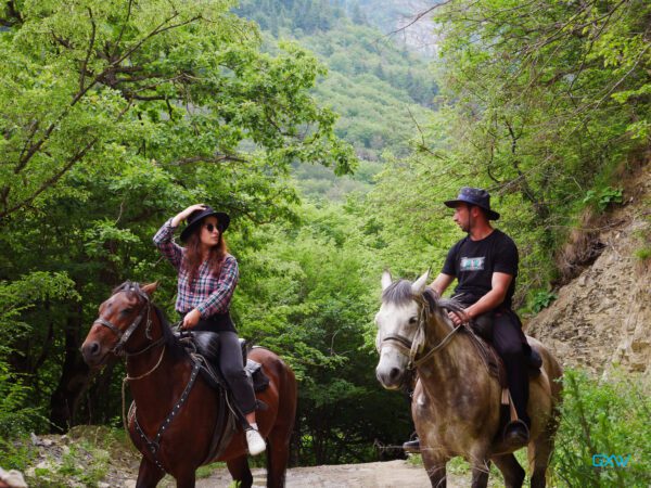 horse riding tours